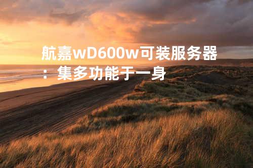 航嘉wD600w可装服务器：集多功能于一身